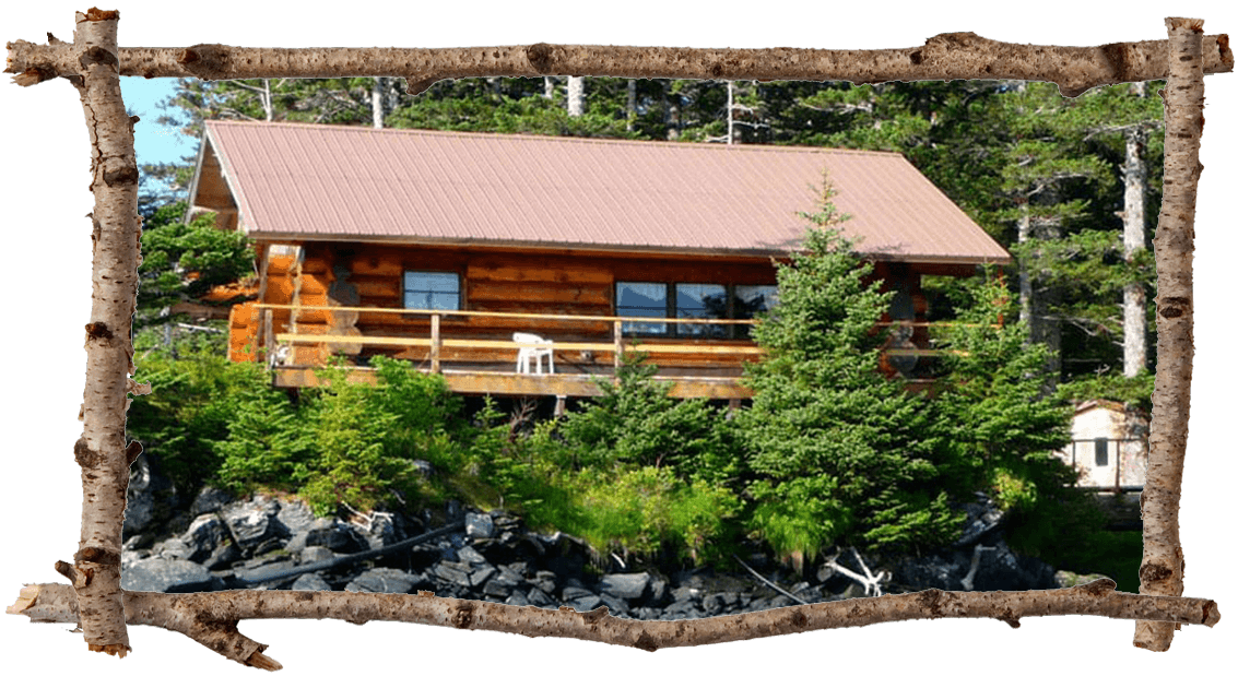 Cabin 1 exterior back patio