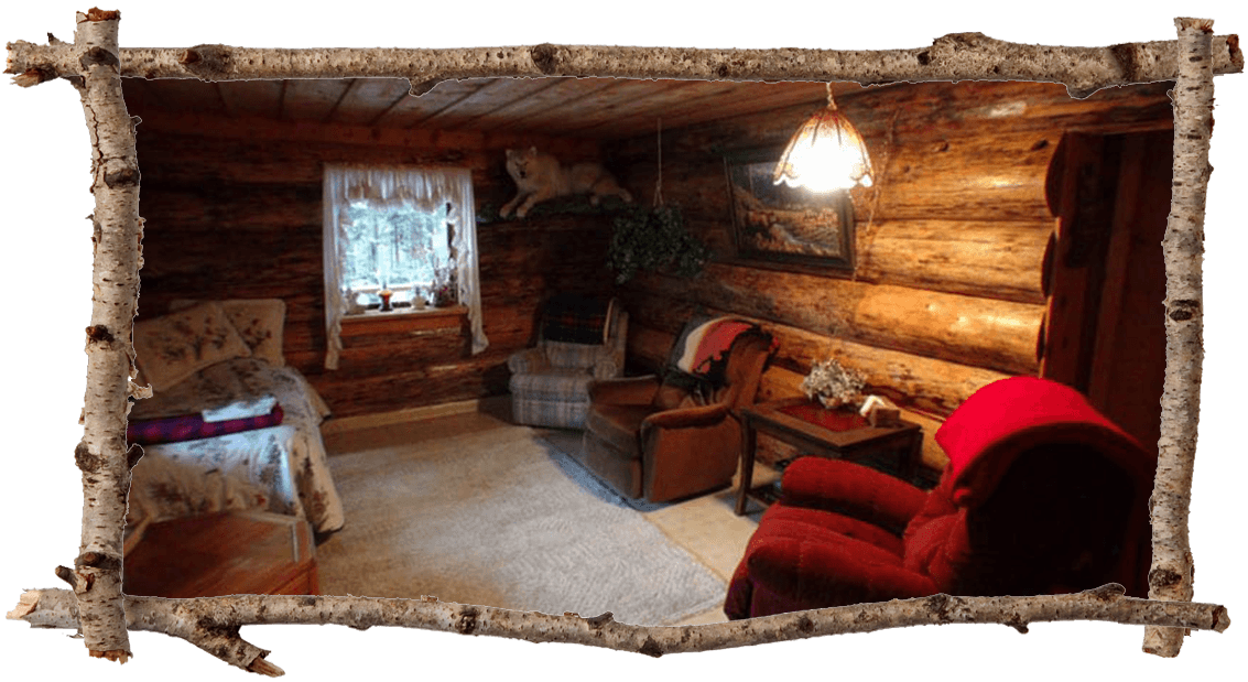 Cabin 3 living room