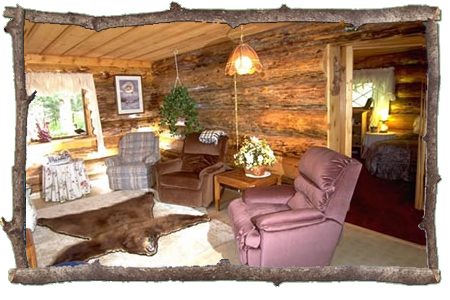 cabin living room